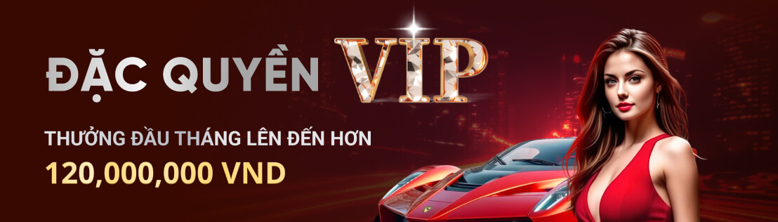 Đặc Quyền VIP